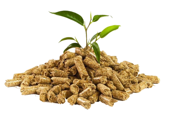 腾博tengbo·(中国区)官方网站